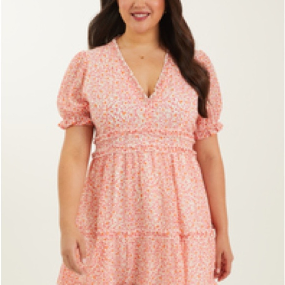 Arula Floral Pink Dress
